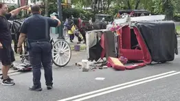 Un turista perdió la vida: suspenden paseos en carruaje en Nueva York