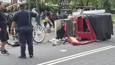 Un turista perdió la vida: suspenden paseos en carruaje en Nueva York Un turista perdió la vida: suspenden paseos en carruaje en Nueva York
