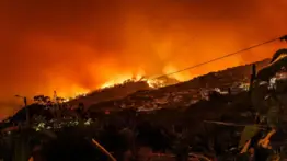 Incendios de maleza éste domingo en Miami-Dade: conozca las rutas alternativas para circular