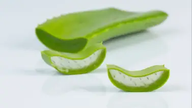 Mezcla el gel de aloe vera este ingrediente rico en vitaminas y mantén la piel hidratada Mezcla el gel de aloe vera este ingrediente rico en vitaminas y mantén la piel hidratada