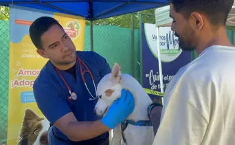 Jornada de salud pública: vacunan mascotas en El Hatillo