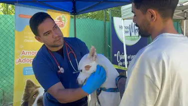 Jornada de salud pública: vacunan mascotas en El Hatillo Jornada de salud pública: vacunan mascotas en El Hatillo