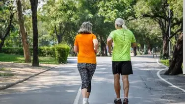 Evidencias científicas revelan los beneficios de caminar: la recomendación es practicarlo mínimo cinco días a la semana Evidencias científicas revelan los beneficios de caminar: la recomendación es practicarlo mínimo cinco días a la semana