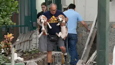 Tome nota: habilitan página para localizar mascotas desaparecidas tras el terremoto Tome nota: habilitan página para localizar mascotas desaparecidas tras el terremoto