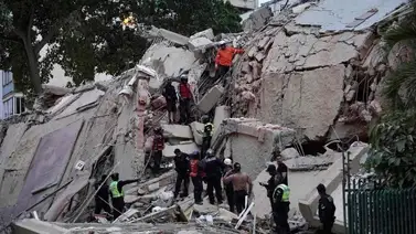 Artistas venezolanos en EEUU lideran ayuda humanitaria tras terremoto: fotos Artistas venezolanos en EEUU lideran ayuda humanitaria tras terremoto: fotos
