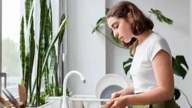 No desprende pelusas ni hilos: Efectivo método para limpiar los platos No desprende pelusas ni hilos: Efectivo método para limpiar los platos