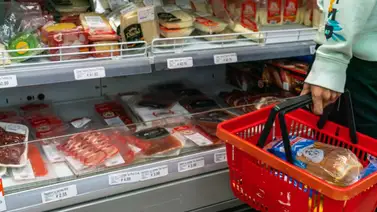 Cavidea y ANSA garantizan abastecimiento de alimentos en las zonas afectadas por el doble terremoto Cavidea y ANSA garantizan abastecimiento de alimentos en las zonas afectadas por el doble terremoto