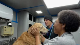 Activan unidad móvil para atención veterinaria hasta el 4 de julio: conozca el requisito y horario