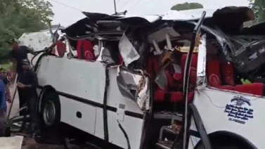 Árbol cae sobre un autobús en Táchira: deja 4 muertos y 11 heridos