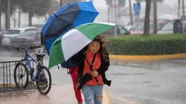 4 Julio Florida clima