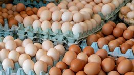 Esta cadena de waffle elimina el recargo de huevos en sus platillos: conozca los nuevos precios