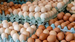 Esta cadena de waffle elimina el recargo de huevos en sus platillos: conozca los nuevos precios