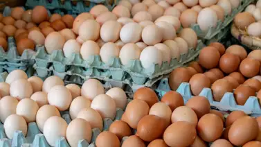 Esta cadena de waffle elimina el recargo de huevos en sus platillos: conozca los nuevos precios Esta cadena de waffle elimina el recargo de huevos en sus platillos: conozca los nuevos precios