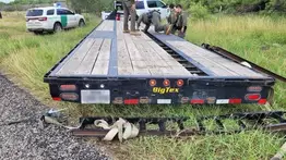 Siete inmigrantes viajaban ocultos bajo la plataforma de un camión: Patrulla Fronteriza los detiene en Laredo