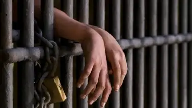 ¡Justicia en Florida! Cadena perpetua para Stefan Correa por tráfico sexual y violencia: hallan 100 fotos de abusos ¡Justicia en Florida! Cadena perpetua para Stefan Correa por tráfico sexual y violencia: hallan 100 fotos de abusos