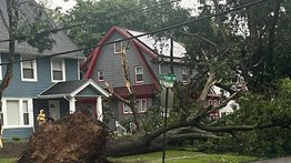 Tormentas dejan caos en Nueva Jersey: árboles caídos y apagones obligan a declarar emergencia