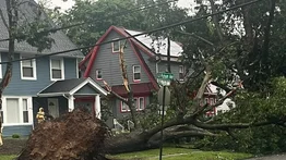 Tormentas dejan caos en Nueva Jersey: árboles caídos y apagones obligan a declarar emergencia