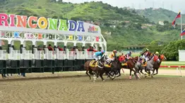 ¡De colección! Así será la revista – libro de Gaceta Hípica para celebrar sus 75 años 