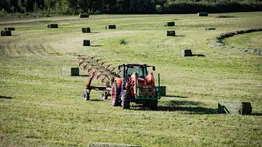 oferta-de-empleo-en-wisconsin