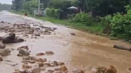 Reportan más de 2 mil familias afectadas por las lluvias en Barinas: aprobaron ayudas para su atención