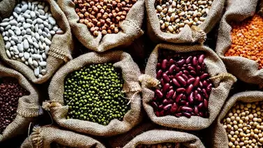 La semilla rica en fibra que reduce el colesterol y combate el estreñimiento: así debes consumirla para aprovecharla al máximo La semilla rica en fibra que reduce el colesterol y combate el estreñimiento: así debes consumirla para aprovecharla al máximo