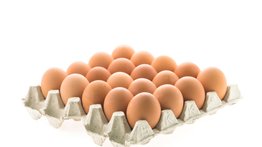 ¡Alerta en tu nevera! Estos son los riesgos de guardar los huevos en el refrigerador: los peligros que casi nadie imagina