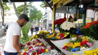 2001ONLINE - VENEZUELA - FLORES 2001ONLINE - VENEZUELA - FLORES