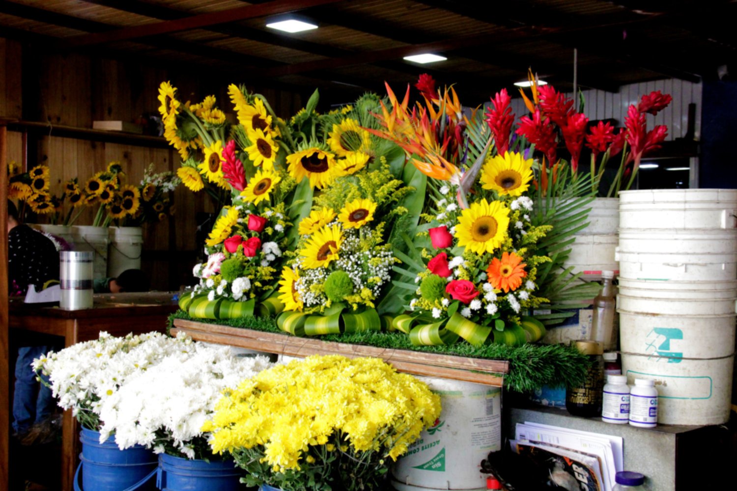 2001ONLINE - VENEZUELA - FLORES