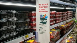 ¿Peligra el SNAP? Estos 10 estados aplicarán restricciones en cupones y endurecerán requisitos