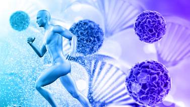 Fortalece el sistema inmunológico: esta es la manera correcta de consumir las hojas de plátano para aprovechar sus propiedades curativas Fortalece el sistema inmunológico: esta es la manera correcta de consumir las hojas de plátano para aprovechar sus propiedades curativas