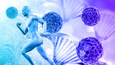 Fortalece el sistema inmunológico: esta es la manera correcta de consumir las hojas de plátano para aprovechar sus propiedades curativas Fortalece el sistema inmunológico: esta es la manera correcta de consumir las hojas de plátano para aprovechar sus propiedades curativas