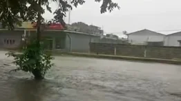 ¡Alertas en Portuguesa! Reportan inundaciones y desbordamientos tras fuertes lluvias: al menos 10 comunidades afectadas