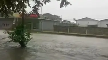 ¡Alertas en Portuguesa! Reportan inundaciones y desbordamientos tras fuertes lluvias: al menos 10 comunidades afectadas ¡Alertas en Portuguesa! Reportan inundaciones y desbordamientos tras fuertes lluvias: al menos 10 comunidades afectadas