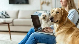 ¡Bienvenidas mascotas! Estas son las ciudades de Estados Unidos más pet friendly en los condominios: no rechazan a tus animales