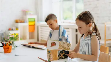 nueva-ley-florida-beneficia-estudiantes nueva-ley-florida-beneficia-estudiantes