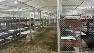 Migrantes relatan cómo es estar detenido en el centro Alligator Alcatraz: sin agua, con mosquitos y altas temperaturas Migrantes relatan cómo es estar detenido en el centro Alligator Alcatraz: sin agua, con mosquitos y altas temperaturas