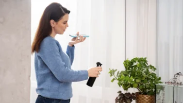 ¡Adiós a esos fastidiosos mosquitos! La hierba aromática que hace milagros en tu hogar: conviértela en el mejor repelente