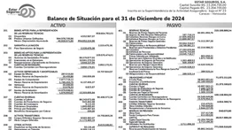 ESTAR SEGUROS, S.A. BALANCES I 14 JUL 2025