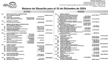 ESTAR SEGUROS, S.A. BALANCES  14 JUL 2025