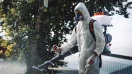 Alcaldía de Chacao lanza operativo gratuito de fumigación: conozca cómo acceder