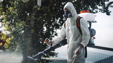 Alcaldía de Chacao lanza operativo gratuito de fumigación: conozca cómo acceder Alcaldía de Chacao lanza operativo gratuito de fumigación: conozca cómo acceder