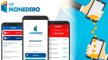 Consulta tu Monedero Patria los domingos: son sólo cinco pasos Consulta tu Monedero Patria los domingos: son sólo cinco pasos