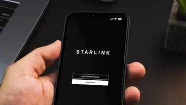 2001ONLINE - estados unidos - starlink  2001ONLINE - estados unidos - starlink