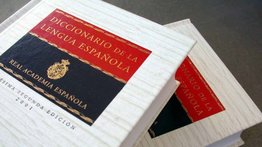 La RAE acepta la palabra “gocho” como un adjetivo venezolano: conozca cómo fue publicada su definición