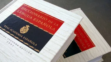 La RAE acepta la palabra “gocho” como un adjetivo venezolano: conozca cómo fue publicada su definición