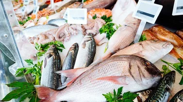 Operación Venezuela Come más Pescado vuelve a Caracas: tome nota de la fecha y ubicación