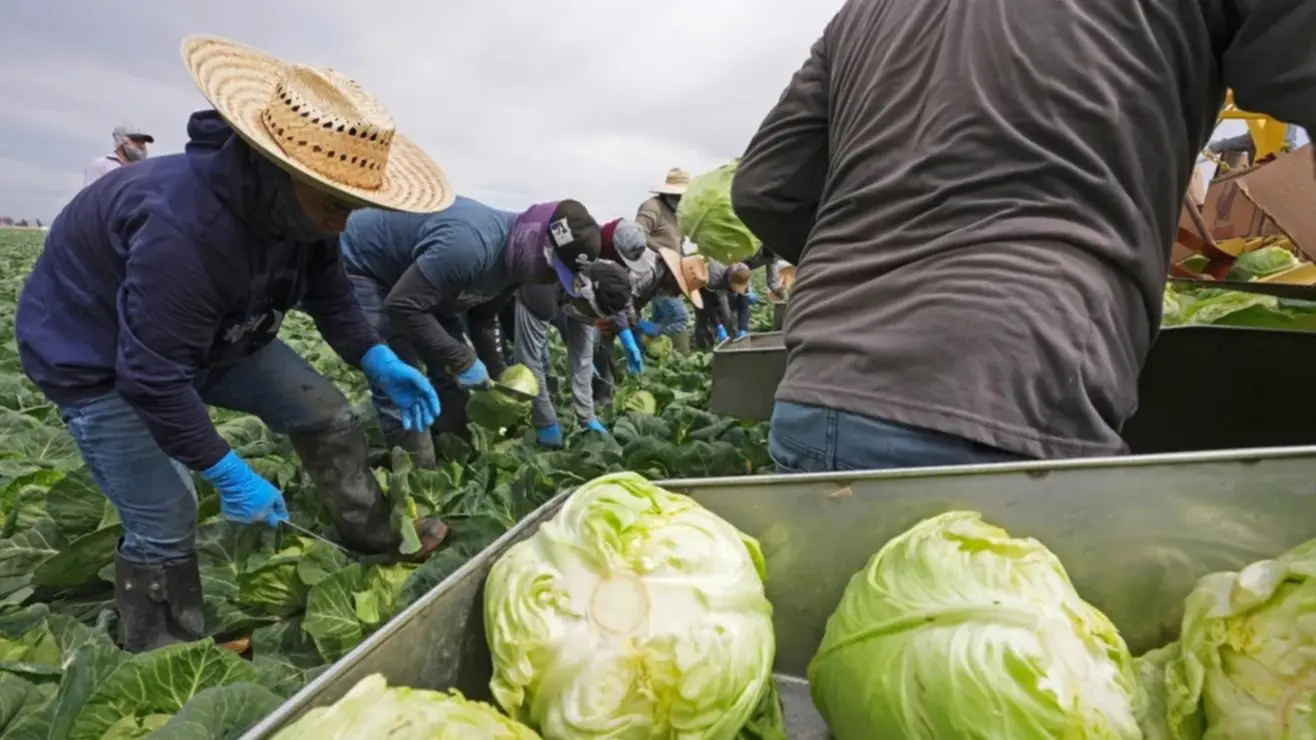 ¡Ley Dignidad 2025 gana apoyo! Empresarios envían carta a Trump; estas son sus peticiones