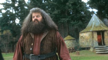 Todo listo para el remake de Harry Potter: este es el personaje que le dará vida a Hagrid en la nueva serie de HBO 
