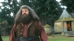 Todo listo para el remake de Harry Potter: este es el personaje que le dará vida a Hagrid en la nueva serie de HBO 