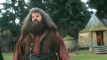 Todo listo para el remake de Harry Potter: este es el personaje que le dará vida a Hagrid en la nueva serie de HBO 